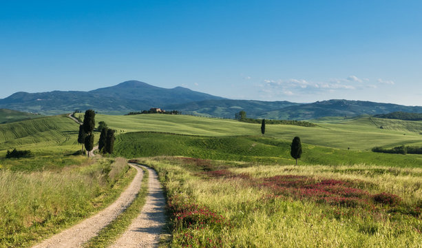 Terrapille im Val d&acute;Orcia, in der N&auml;he von Pienza