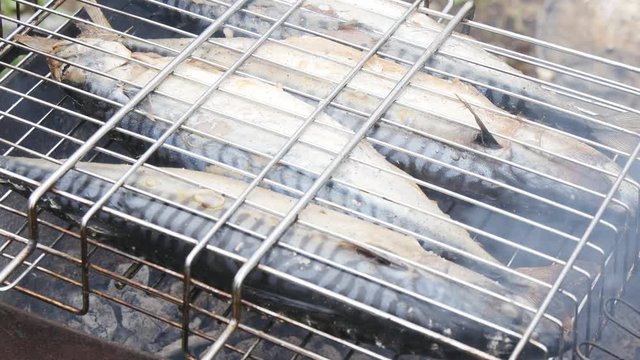 Grilled fish on the grill
