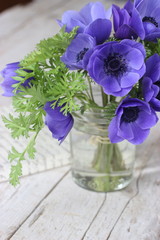 vasetto con anemoni in fiore