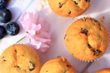 Rustic wooden breakfast background with bluberries, fresh scones and blooming cherry flowers