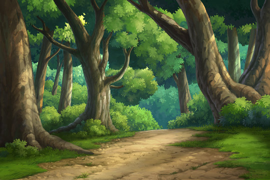 background for jungle and natural