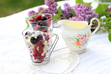 Frozen fruit with white chocolate sauce on the garden table.