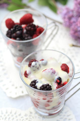 Frozen fruit with white chocolate sauce on the garden table.