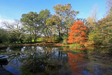 Lake in Autumn