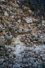 part of the stone wall with flowers