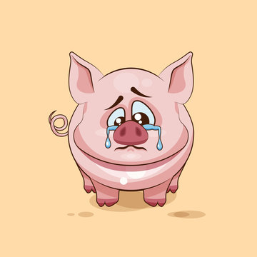 isolated Emoji character cartoon sad and frustrated Pig crying, tears sticker emoticon