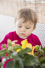 Baby girl looking at yellow flowers