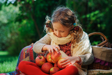 happy child girl harvesting apples in autumn garden. Seasonal outdoor rural activitty for kids