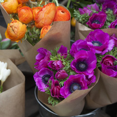 set of violet anemone and orange ranunculus  flowers in bucket
