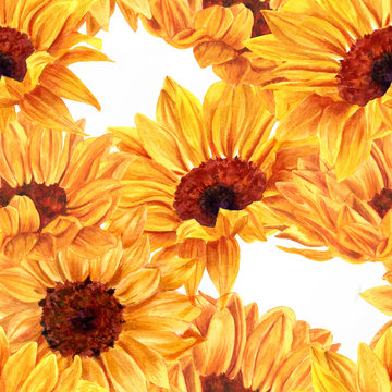 Seamless background texture with hand drawn vibrant watercolor sunflowers