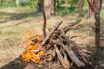 Bonfire next to the tourist camp. Journey into the wild concept.
