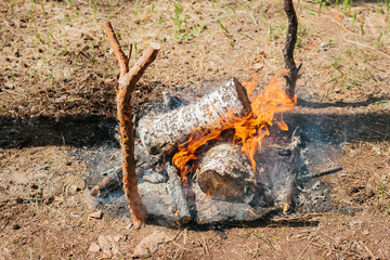 Bonfire next to the tourist camp. Journey into the wild concept.

