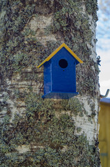 Original bird house