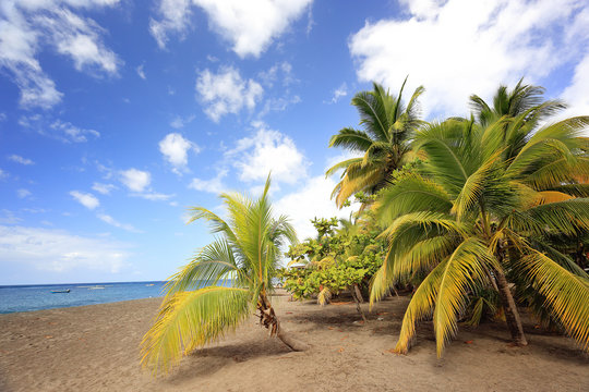 Grande Anse Le Coin Beach, Le Carbet, Martinique, Caribbean