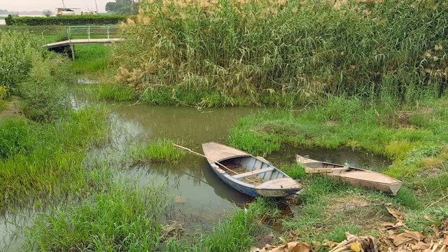 Boat on the shore of a tropical island with wild reeds