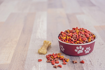 Bowl with dog food on the floor