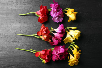 Beautiful freesia flowers on black wooden background