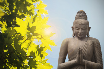 Buddha statue and yellow maple - asian culture