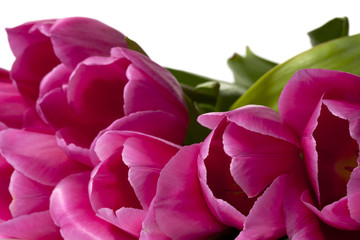 cropped image of pink flowers.