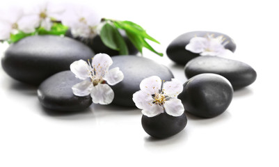 Fototapeta na wymiar Spa stones with spring flowers on white background