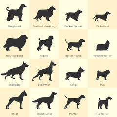Dogs Breed Icon Set