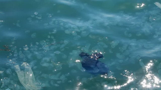 Garbage And Dead Jellyfish In Sea Water