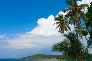 Fototapeta na wymiar Tropical island in the Indian Ocean.