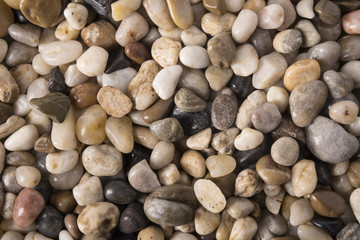 Decorative Pebbles - Background