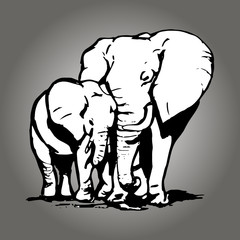 Elephant with cub 0