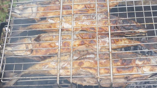 Grilled fish on the grill