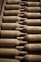 Wine Bottles in Cellar
