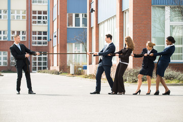 Male And Female Businesspeople Playing Tug Of War