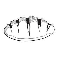 Black And White Boule Bread With Sketchy Style