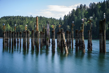 Tod Inlet Bird Houses