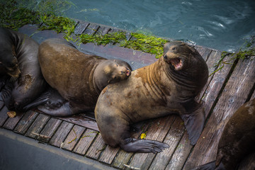 Give Me a Little Space!