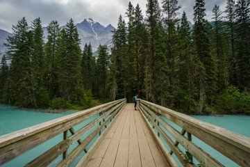 Teenage Girl on Foot Bridge along the Berg Lake Trail, Mount Rob