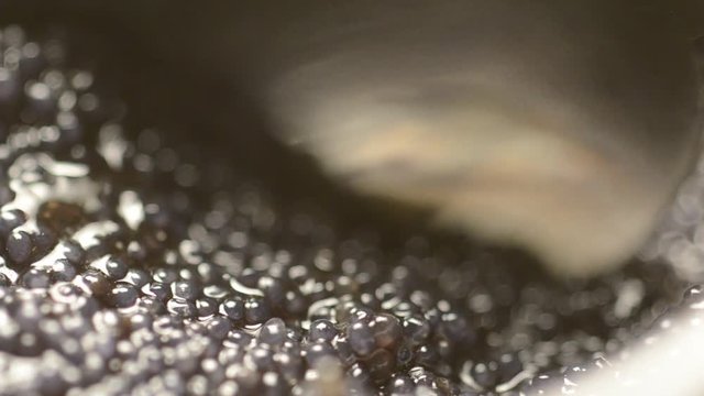 خاویار Чёрная икра كافيار Caviar Caviale Kavi&aacute;r &Chi;&alpha;&beta;&iota;ά&rho;&iota; Kawior คาเวียร์ קוויאר Kaviaar キャビア 鱼子酱 Kaviar 캐비아 Icre Kaviaari Kavijar Ձկնկիթ Ikrai Kavi&aacute;r കവിയാർ