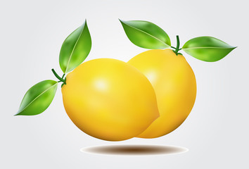 Lemons with leaf on white background