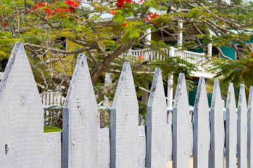White picket fence in tropical Belize