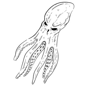 recommend clip art: Black And White Or Outline Octopus With Sketchy Style And Swimming Underwater With Tentacles