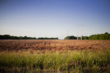 Empty Farm Field
