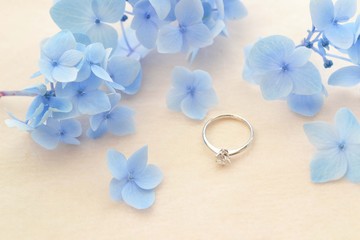 エンゲージリングと紫陽花