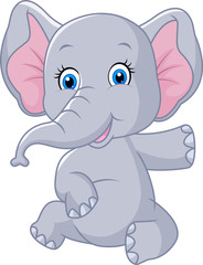 Cute baby elephant sitting isolated on white background