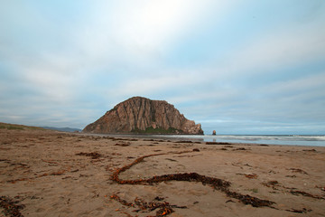 Serpentine Sea Kelp at Morro Rock At Sunrise at Morro Bay State Park popular vacation / camping spot on the Central California Coast USA