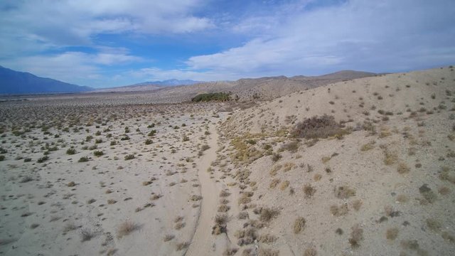 This video is about palm springs oasis drone shot of palm trees. Many palms show scars from a fire.