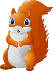 Cartoon adorable squirrel