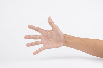 hand and palm up isolated on white background.