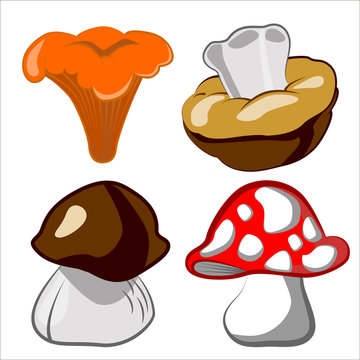 0416_38 mushroom