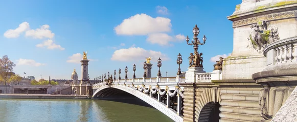 Photo sur Plexiglas Pont Alexandre III Pont Alexandre à Paris, panorama