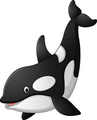 Cute killer whale cartoon